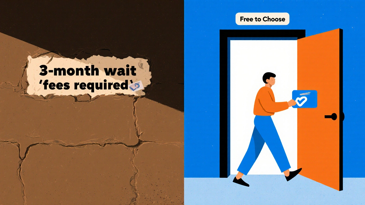 Symbolický obraz: zavřená brána s poplatky vs. otevřená cesta k volbě lékaře.