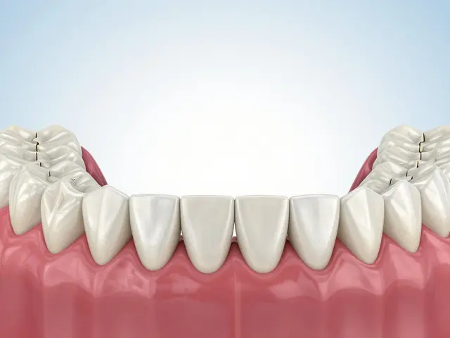 Zubní oblouk a gumičky na rovnátka: Jak fungují a co musíte vědět